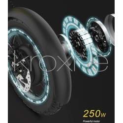 zBike - електричний велосипед потужністю 250 Вт - автономність від 30 до 50 км  - 12 zBike - електричний велосипед потужністю 25