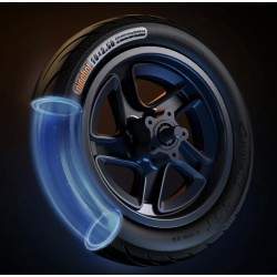 Aro dianteiro completo com disco de freio para Segway F2, F2 Plus, F2 Pro ou similar - 10x2,5 polegadas Segway - Ninebot - 6 Aro
