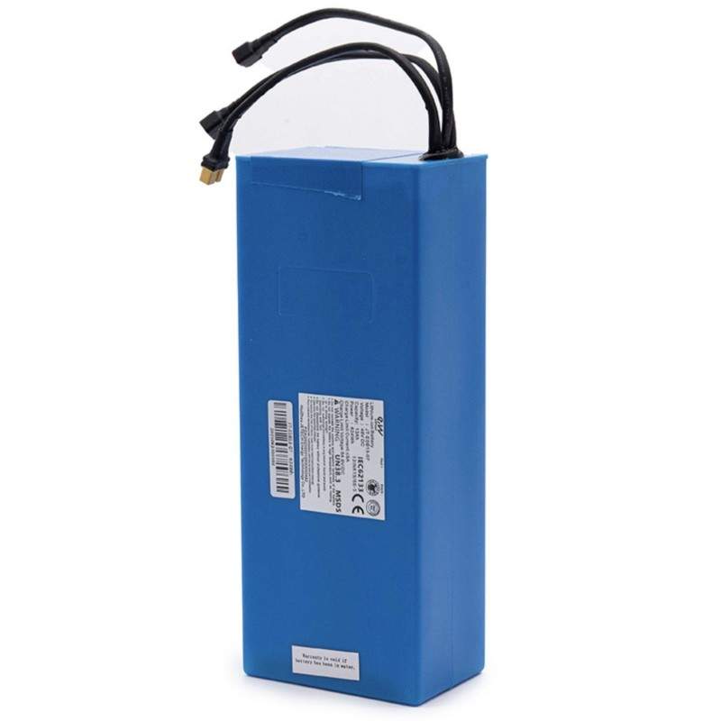 Batteria 48V 13000mah (Celle EVE) per Smartgyro Speedway / Rockway / Crossover, Zwheel o simili  - 1 Batteria 48V 13000mah (Cell