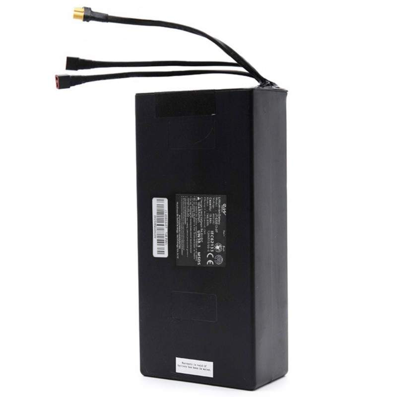 Batteria 48V 15600mah (Celle EVE) per Smartgyro Speedway / Rockway / Crossover, Zwheel o simili  - 1 Batteria 48V 15600mah (Cell
