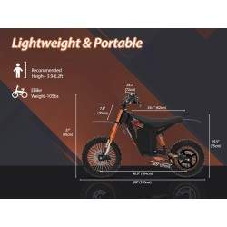 Monorim e-Moto Electric Wish007, 55 km/h, 1500 W mootor, 21Ah aku, reguleeritav hüdrovedrustus Monorim - 5 Monorim e-Moto Electr