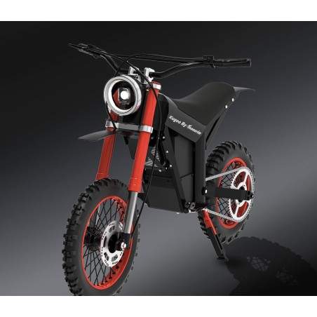 Moto eléctrica Monorim Argon con motor de 1500w y batería de 16Ah Monorim - 2 Moto eléctrica Monorim Argon con motor de 1500w y 